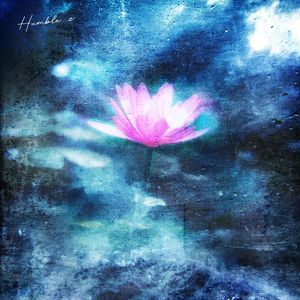 在线观看免费观看在线91
